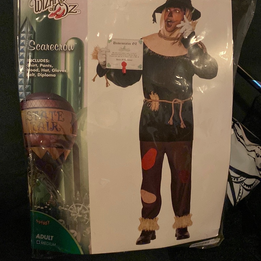 Wizard of oz costume
